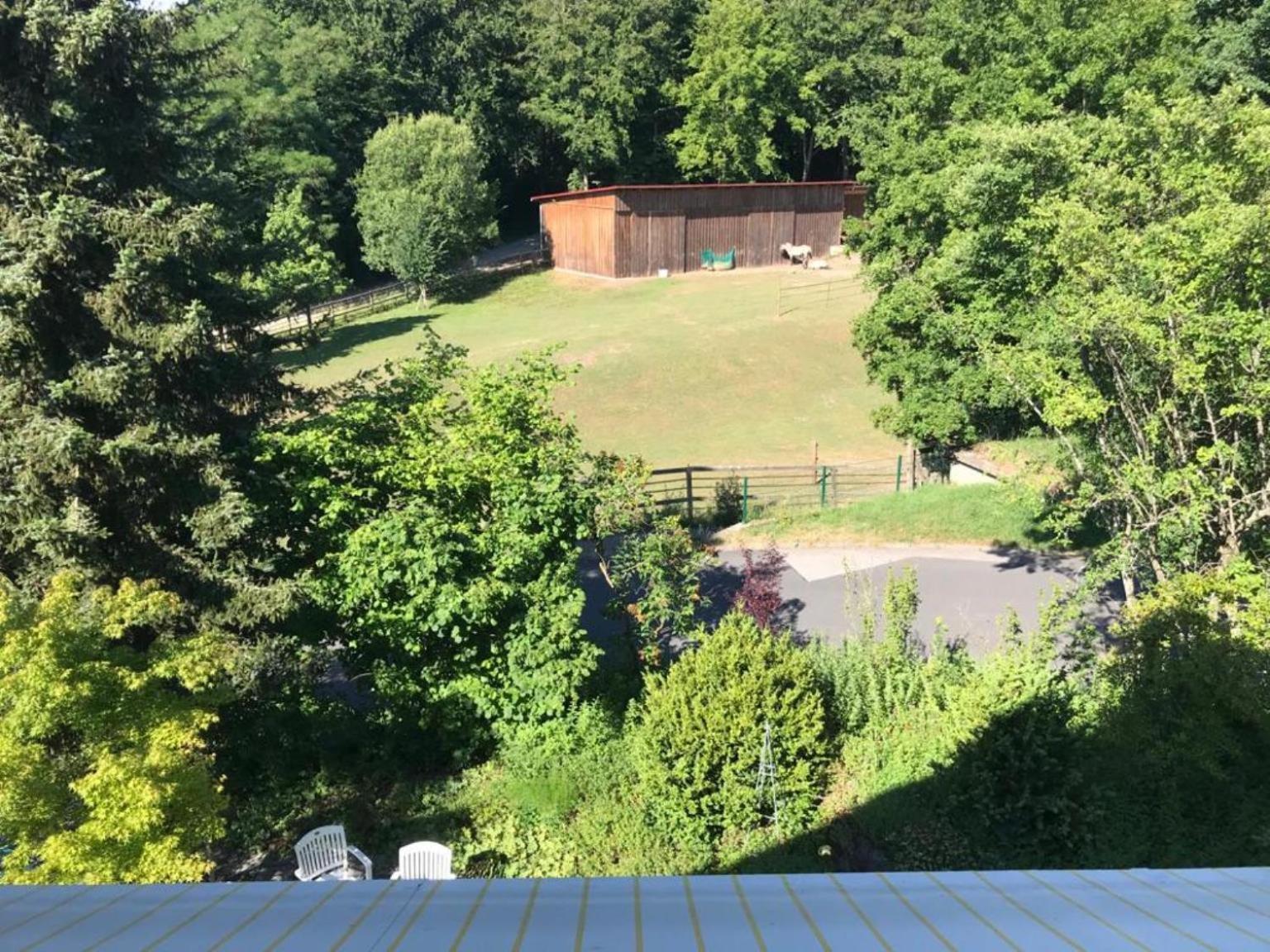 Pension-Ferienwohnung Liesbachtal Direkt Am Waldrand Bayerische Rhoen Schonau an der Brend Room photo