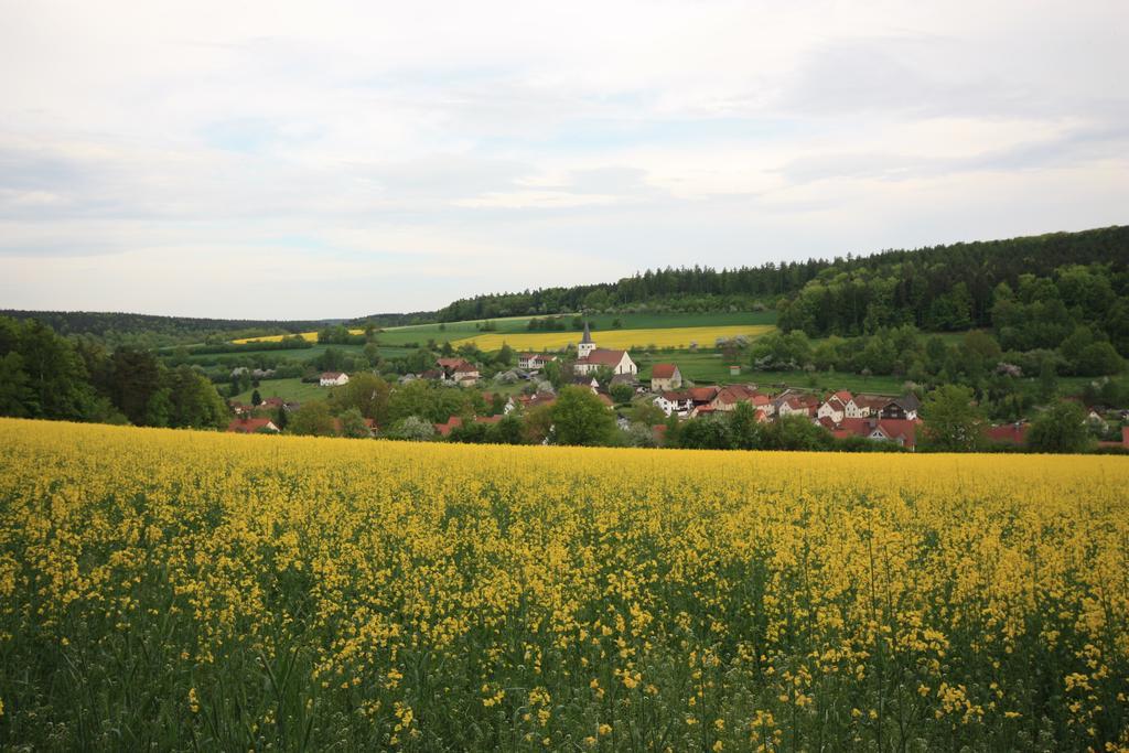 Pension-Ferienwohnung Liesbachtal Direkt Am Waldrand Bayerische Rhoen Schonau an der Brend Exterior photo